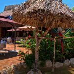 cantena_latina_aviary