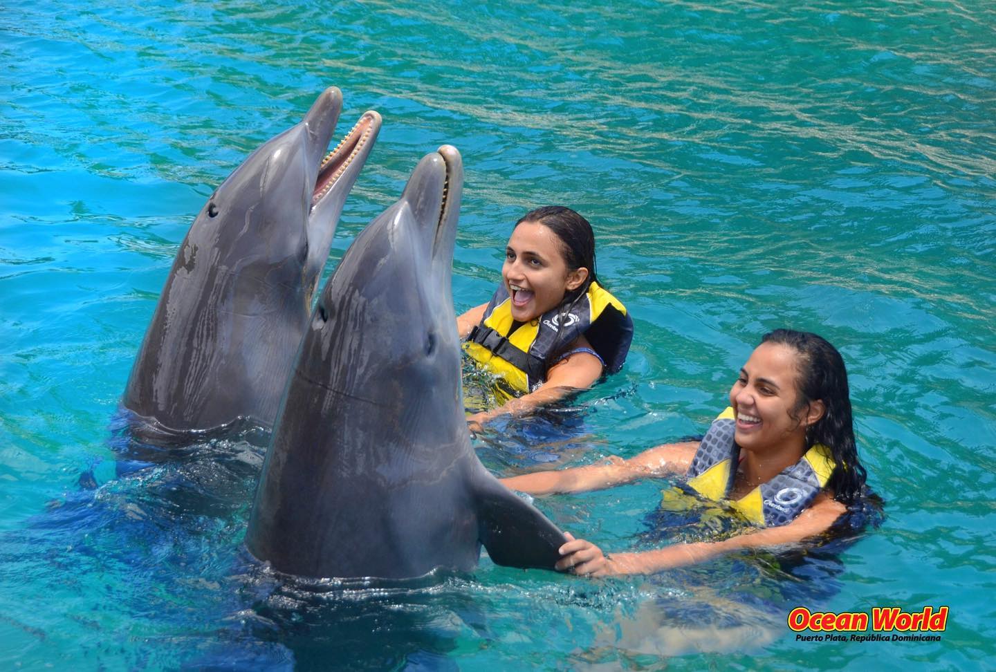 Dolphin show at Ocean World, Cofresi
