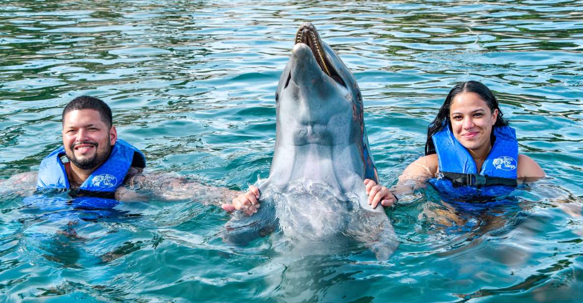 Ocean World, Cofresi dolphin show