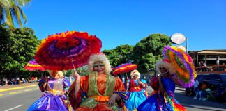 2024 Puerto Plata Carnival Roba la gallina, a cultural costume of the DR