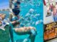 What is the Best Excursion in Amber Cove? Snorkeling catamaran