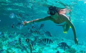 Snorkeling in Puerto Plata, DR Snorkeling in Puerto Plata