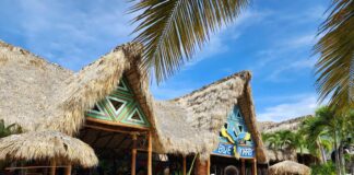 Taino Bay Blue Parrot Bar The Taino Bay Blue Parrot