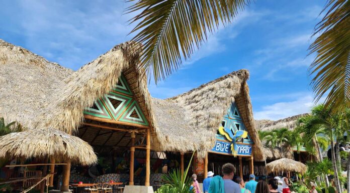 Taino Bay Blue Parrot Bar The Taino Bay Blue Parrot