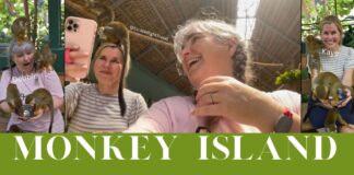 Taino Bay Monkey Island