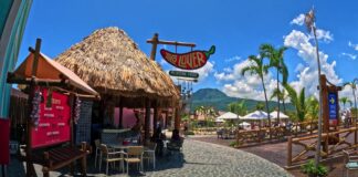 Taino Bay Taco Lover Taco Lover Mexican restaurant