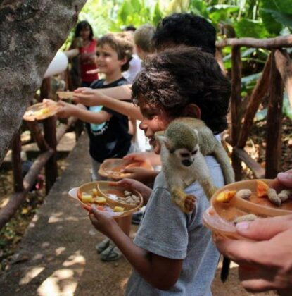 Kids feeding the monkeys