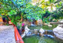 Amber Cove Nature Cove Walkway and creek at the Amber Cove nature cove