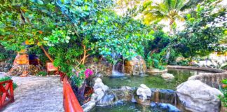 Amber Cove Nature Cove Walkway and creek at the Amber Cove nature cove