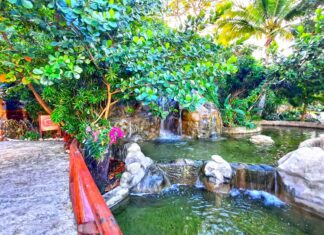 Amber Cove Nature Cove Walkway and creek at the Amber Cove nature cove