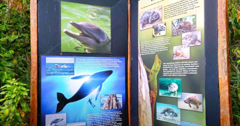 Display with local fauna information