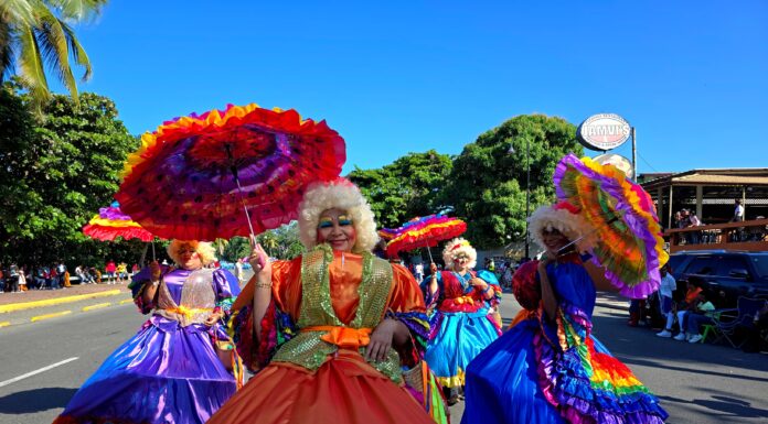 2024 Puerto Plata Carnival Roba la gallina, a cultural costume of the DR