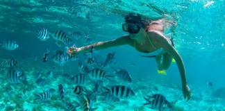 Snorkeling in Puerto Plata, DR Snorkeling in Puerto Plata