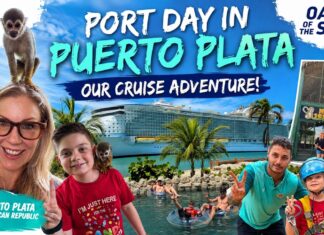Taino Bay Port Review 2026