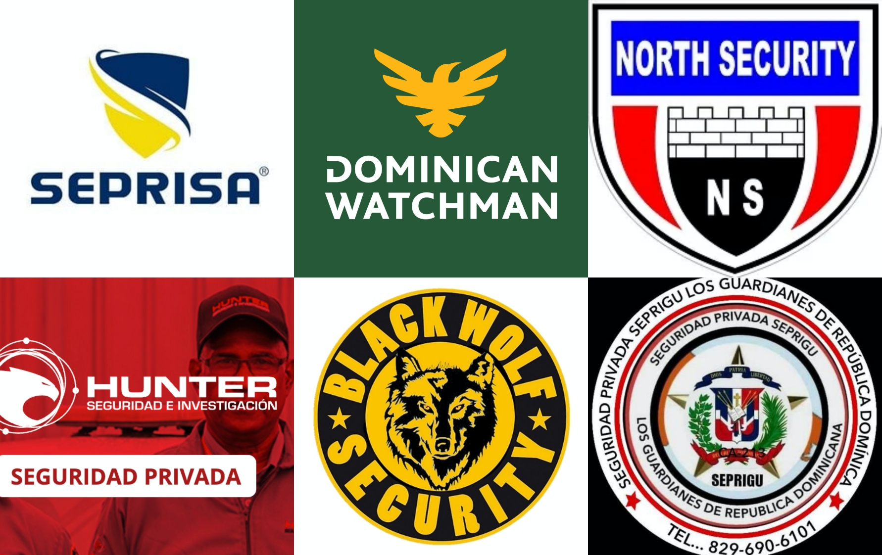 Collage of private security providers in Puerto Plata.